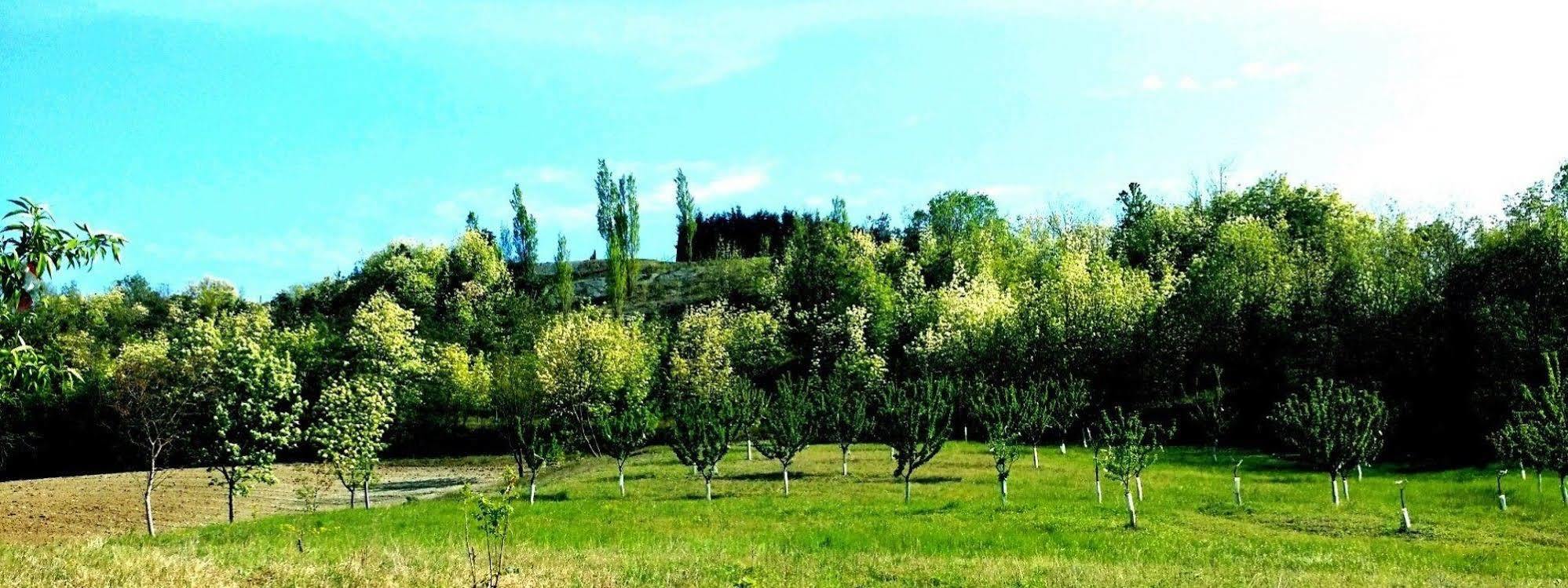 Tenuta Valdorso - Agri Resort Montechiaro D'acqui Eksteriør bilde