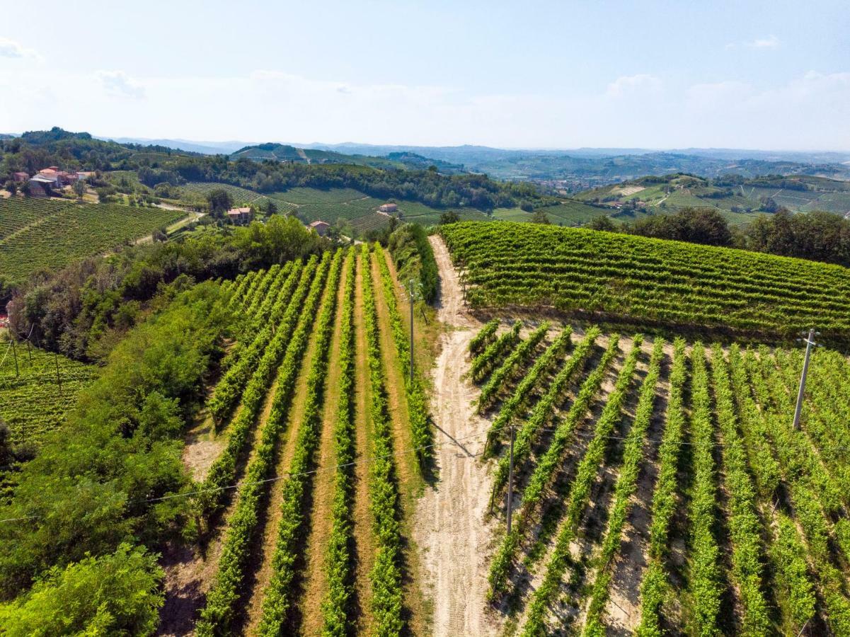 Tenuta Valdorso - Agri Resort Montechiaro D'acqui Eksteriør bilde